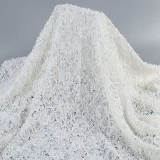 Factory direct 2024 autumn and winter new lace mesh white embroidery embroidery fashion dress lace fabric