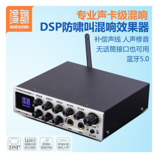 Home Karaoke Reverb with Bluetooth Amplifier Audio Singing Karaoke Mixing Microphone Howling Preamp Effector