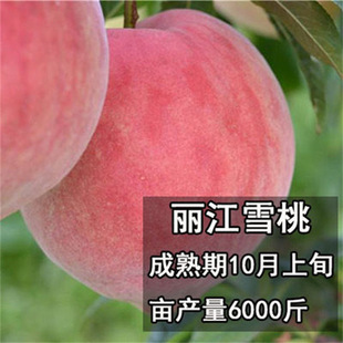 ���;��Ͷ��Ҙ��mѪ������ˮ�������ش�����Ϸ������Nֲ����Y��