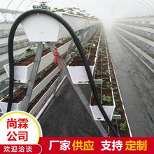 尚霖A字型高架草莓种植槽 无土栽培pvc种植槽系统 草莓立体槽厂家