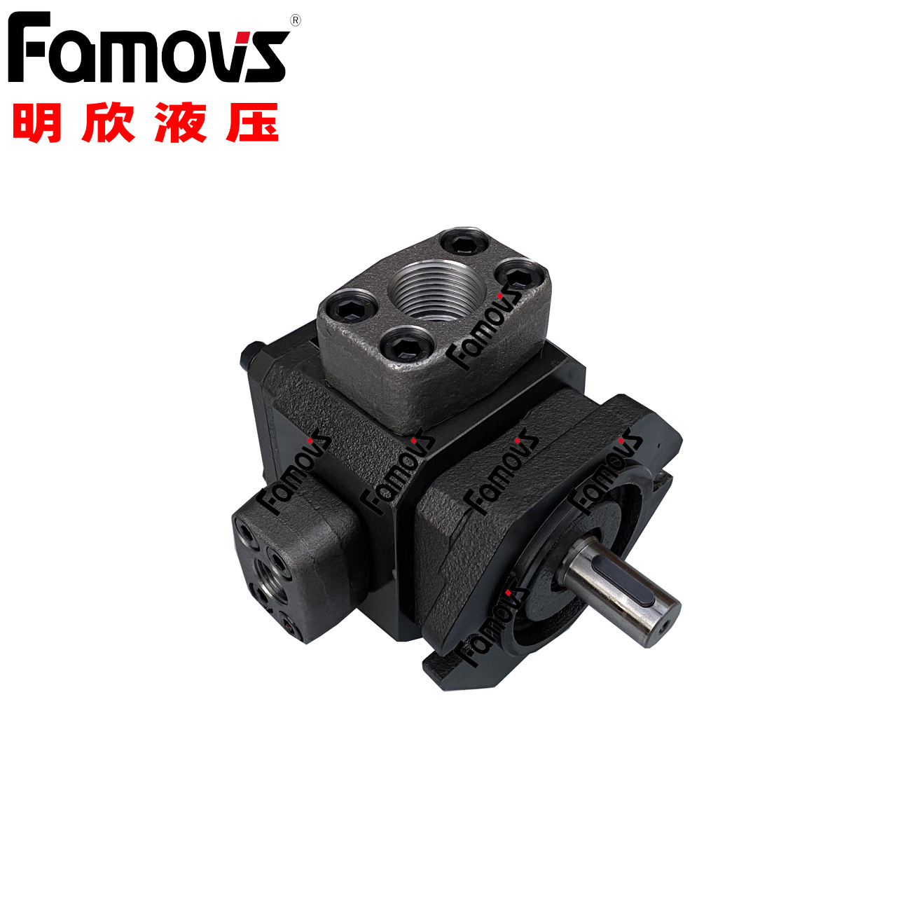 供应明欣VALVEBEST内齿合齿轮泵IGM-2E-3.5-R台湾系列BEST