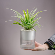 ���˾G�}ֲ���Ԅ���ˮ����͸��ˮ���������ϲ���ˮ�B��ƿ�G�j����