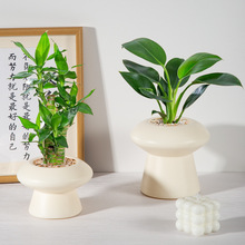 մɻFsinsGֲbƷ׺mˮϻƿ