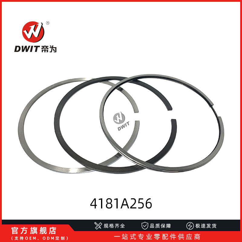 4181A256 160MM  活塞环
