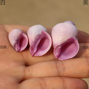 �Ͽ�ɺ������ȻС��ؐ��ϡ���ղ��~���b����ݼľ�з��Q����̫��