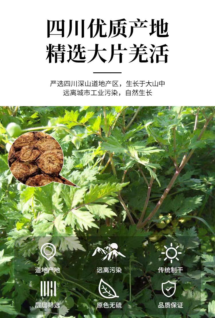 Qiang Huo Powder (Notopterygium incisum) — Sichuan Dried Rhizome Powder, 500g overview