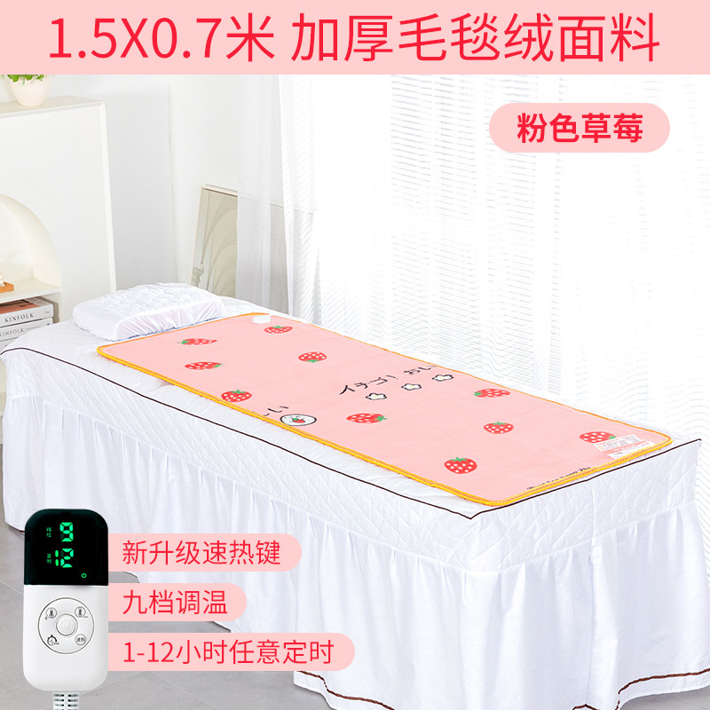 美容ベッド電気毛布シングル美容院専用マッサージベッド小型家庭用ソファーの上の小さいサイズの電気布団