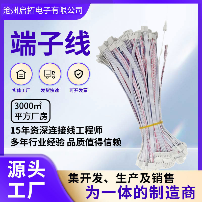 Xh2.54 Terminal Cable 2468 Cable Terminal Connection Cable Red and White Cable Internal Connection Cable Terminal Cable