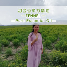 ӡ��������η�����ԭ�����lFennelOil�����o�w������޹��Ȼ