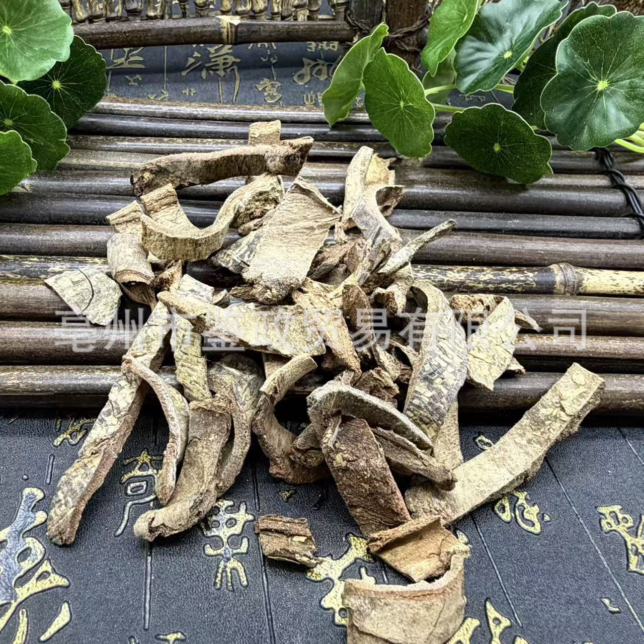 Dried Tujingpi Bark TCM Herb Tu Jing Pi Pseudolarix Bark for Traditional Decoction and External Herbal Use quality and texture