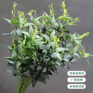 ����5辽��y���~ɭϵ�G�~��c�bGֲ��ƿ���ܵ��@�[�Ž����ɻ�