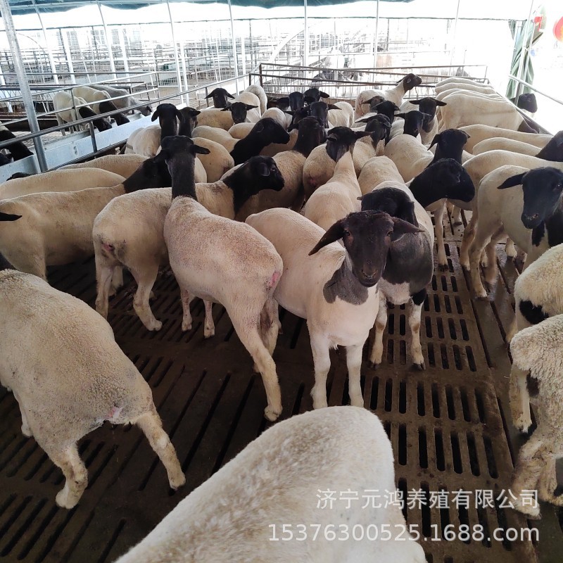 BC20B53BEBC451CF5B6CDE73B5BF9A