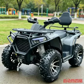 沙滩车