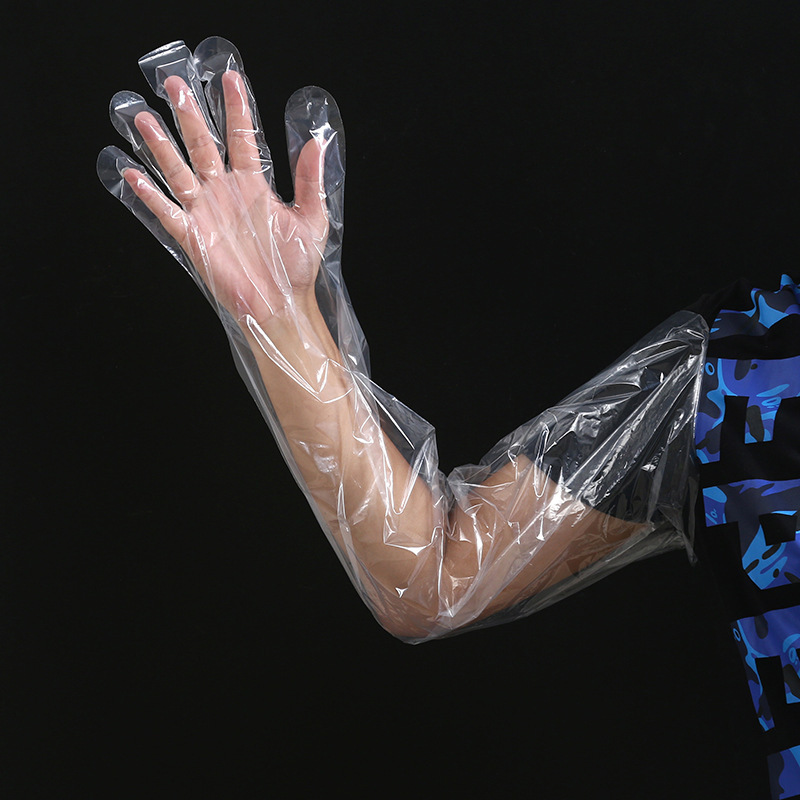 Reprehenderit qui in ea