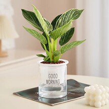 �K���ˮ��ֲ�������҃ȿ͏d���B�����k���������ļ��Gֲ���G�q