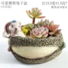 Cute Coconut Rabbit Basin—G51