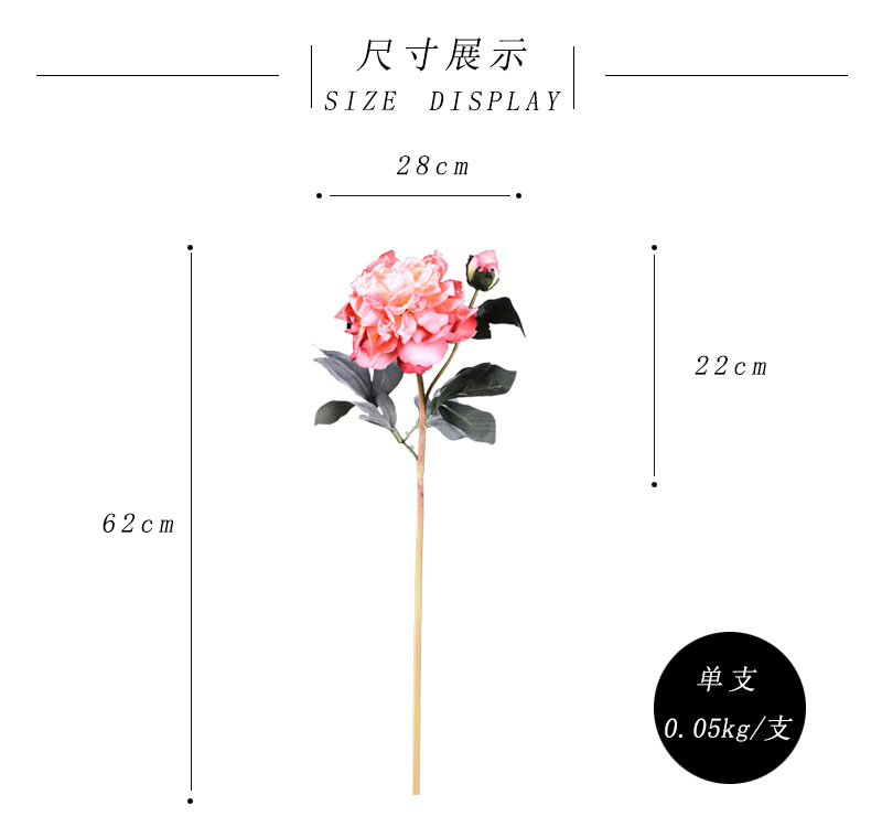 尺寸展示-桃红色.jpg