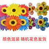 Double-layer colorful cartoon windmill toy, internet celebrity