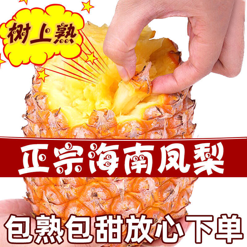 Pineapple 10 Diamond fresh fruit Shredded 1/5/8 Hainan pineapple Full container On behalf of