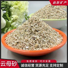 ��ɳ�ĸɰ���l���������Ϲ��̽��B�Ç�ɰ���P���÷�Ŀ�C��ɰ��ɳ