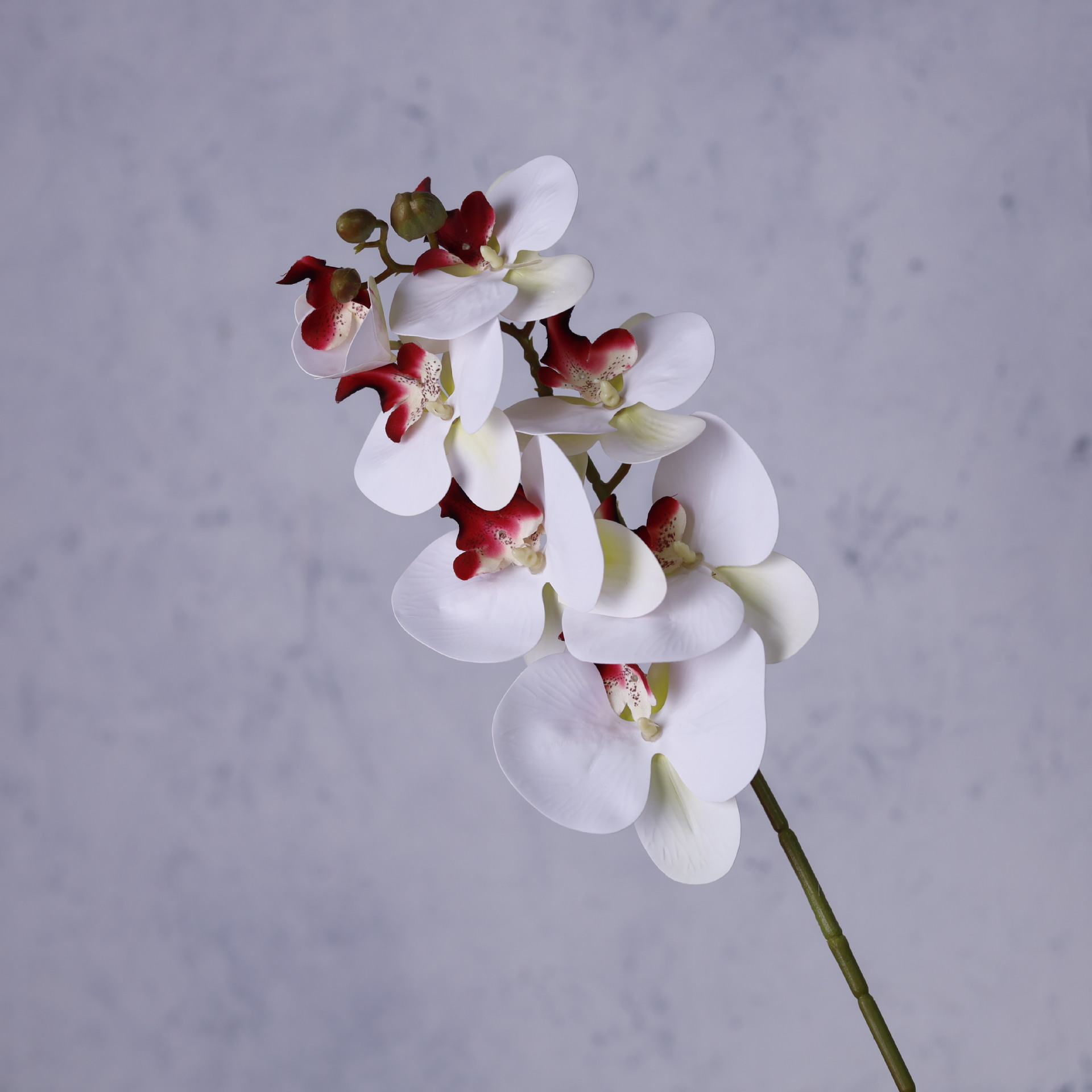 Impresión 3D de 7 cabezas de orquídeas mariposa flor de decoración de flores de alto nivel flor de nicho decoración floral decoración de sala de estar