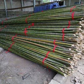 竹木藤苇干草;篱笆/栅栏;园艺护栏
