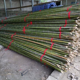 Bamboo pole wholesale sub-vegetable garden rack bamboo outdoor flagpole fence cucumber bean horn climbing vine vegetable rack bamboo pole rack