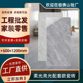 威尼亚广东佛山瓷砖600*1200通体仿石纹地板砖连纹客厅背景墙砖
