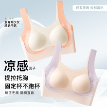 �o�ۃS����Ů���¹����z�����۔n���´��������ض��ͳ����\�ӱ���