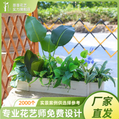 仿真植物花槽裝飾綠植插花擺放仿真花工藝品假花拍照道具批發