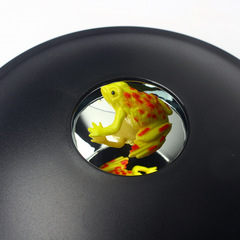 Creative visual illusion illusion box physics optical refraction frog ladybug educational science and education toys student day gift