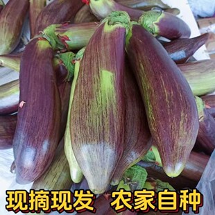 ��ϱ����������rŴ���Ӵ�Ƥ��������������r�߲˾Ƶ����ʳ���]