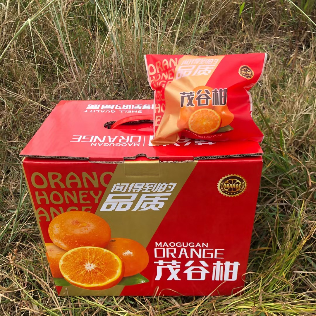 黄心贡柚红黄心茂谷柑礼品礼袋水果袋保鲜袋柚子包装袋子100个