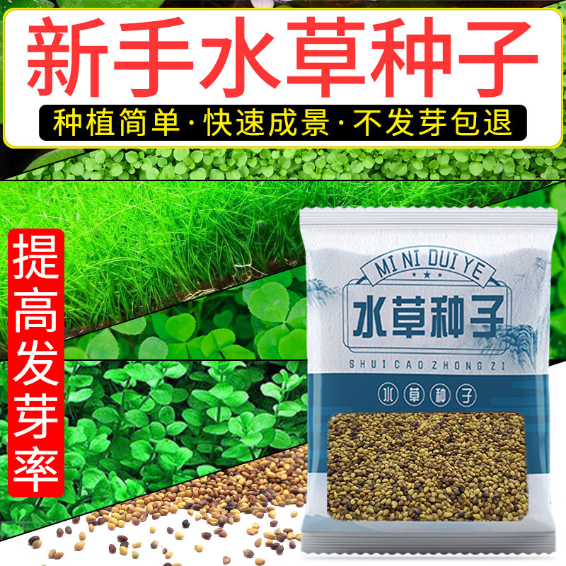 Wholesale Aquatic Plants Seeds Bowl Lotus Seeds Aquatic Plants Mud Micro Landscape Fish Tank Landscaping Live Real Grass Aquatic Algae Plants