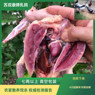 �K�p���ƬF��������ʳ��4ֻ���������w�F�������ӷǻ��w���l���l