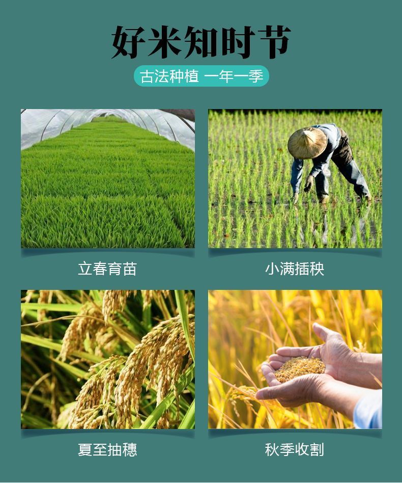 9c7b45d5-b113-44d7-95f1-b1a9ed208e6c.jpe