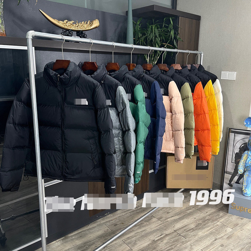 Cross-Border High Version 1996 North Face North Face down Jacket Windproof and Waterproof White Duck down Fluffy Outdoor Classic down Jacket