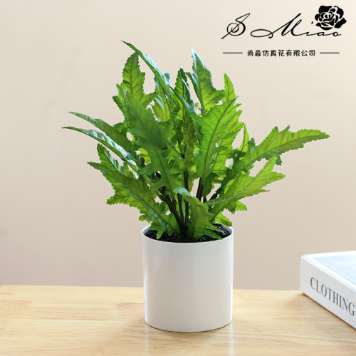 Plastic Spring Fern Plant Pot Landscape Factory Direct Supply Artificial Plant Indoor Ornament Artificial Flower One Piece Dropshipping Green Plant