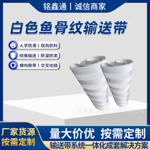 耐水洗白色鱼骨纹输送带 食材流水线长期冲刷不易老化PVC皮带现货