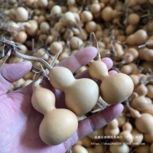 ������С���J�ҾӔ[�����С����ؔ�����S����Ȼ���J������