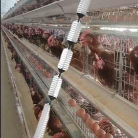 养殖场鸡舍25圆管水线清理器水冲式水耗子蛋鸡肉鸡6分型