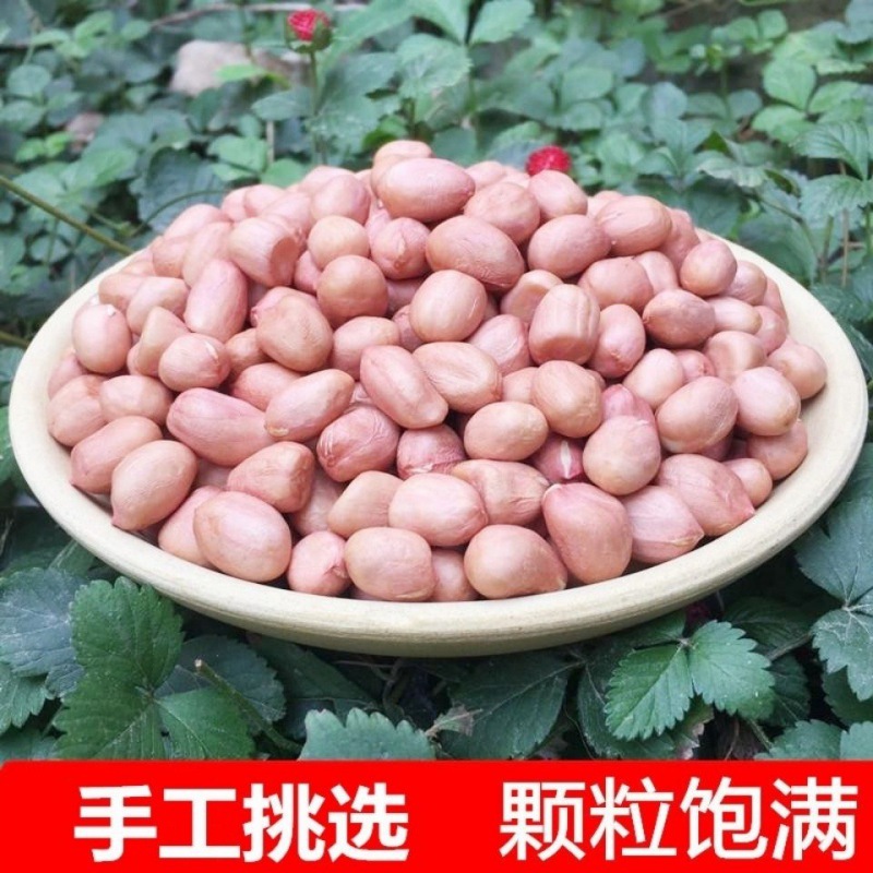 Peanuts Place of Origin wholesale new goods selected Baisha Peanuts pink fresh Shengsheng 53