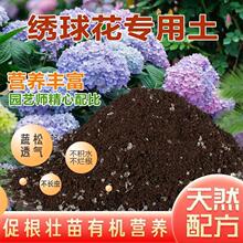 绣球专用土绣球土绿植种花泥土营养土透气通用泥炭土养花土