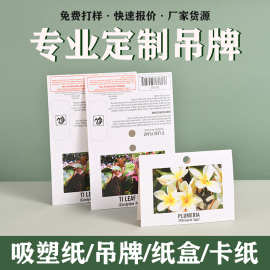 对折纸卡包装彩色卡纸包装卡头定制吊牌印刷吸塑纸pvc卡背飞机纸