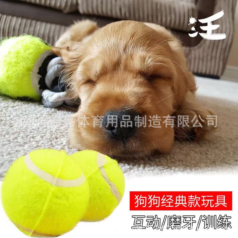 Grade B Pet Tennis 50cm Bounce Puppy Pet Play Toy Ball Grade II Ball Molar Bite Resistance Factory Outlet