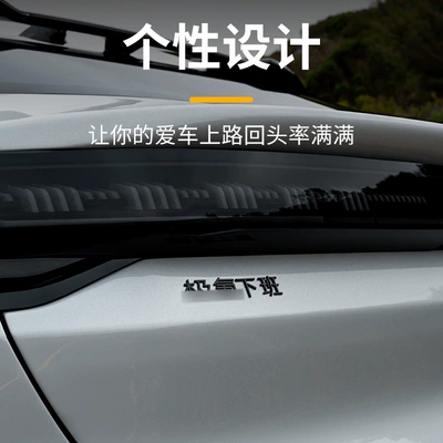 Label Blackened Frosted Fixing Sticker | Car logo