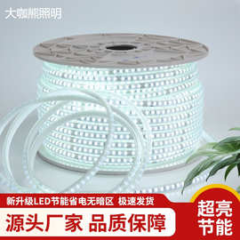 led户外灯带超亮任意裁剪室内装修楼宇亮化硅胶柔性灯条厂家直销