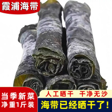 海带卷干货挂晒无沙优质海带卷厚实软糯海带商超干货批发干货市场