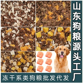 猫猫干粮;狗狗干粮;观赏鱼饲料