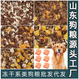 宠物厂家幼犬成犬泰迪金毛专用烘焙冻干狗粮批发大袋犬粮小奶糕粮